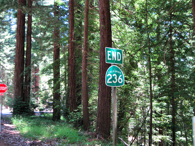 Big Basin Redwoods State Park - Hwy. 236
