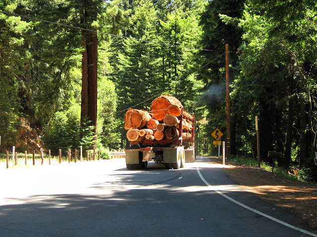 Logging Truck on Hwy. 9