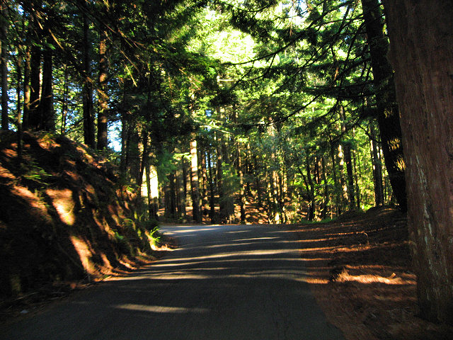 Fairfax Bolinas Rd.