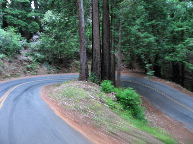 Fairfax Bolinas Rd.