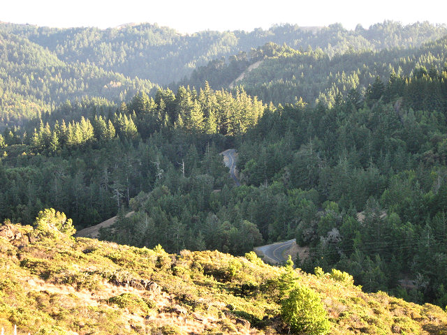 Fairfax Bolinas Rd.