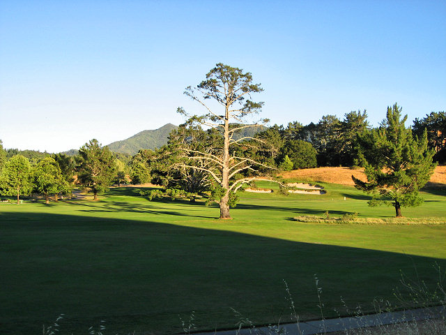 Fairfax Bolinas Rd.