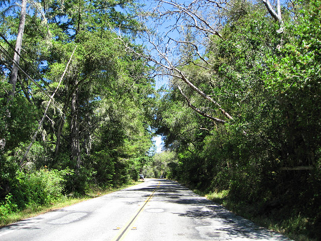 Empire Grade Rd.