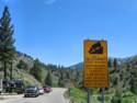 California Hwy. 4 - Ebbetts Pass