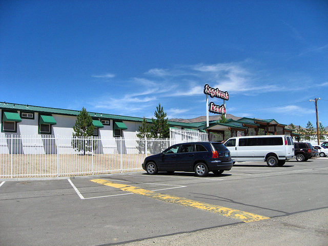 Sagebrush