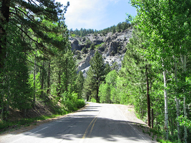 California Hwy. 4 - Ebbetts Pass