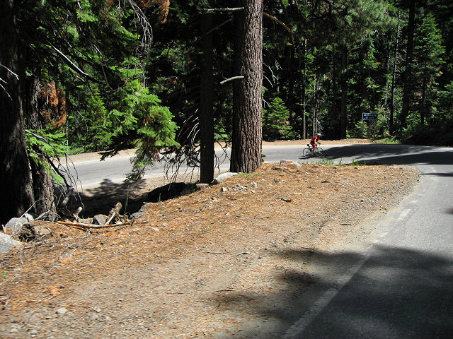 California Hwy. 4 - Ebbetts Pass