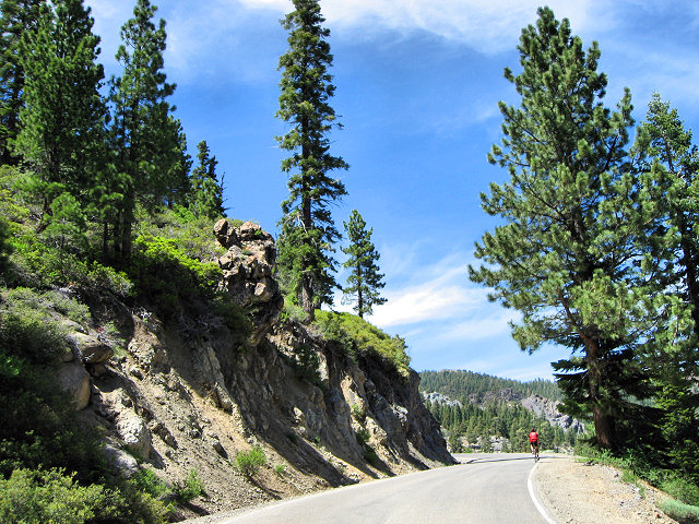 California Hwy. 4 - Ebbetts Pass
