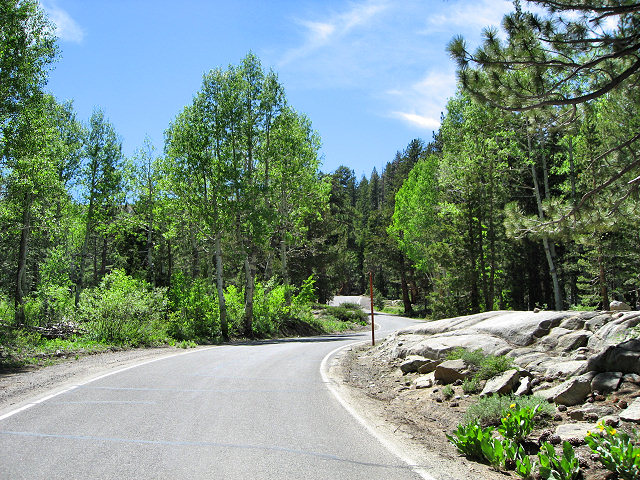 California Hwy. 4 - Ebbetts Pass