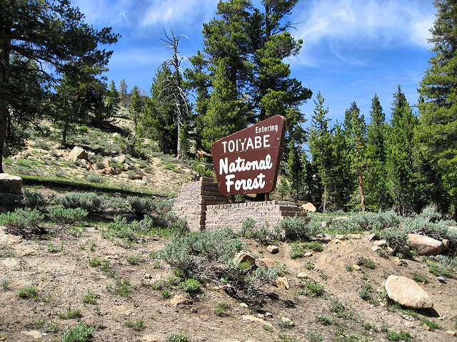 California Hwy. 4 - Ebbetts Pass