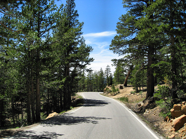 California Hwy. 4 - Ebbetts Pass