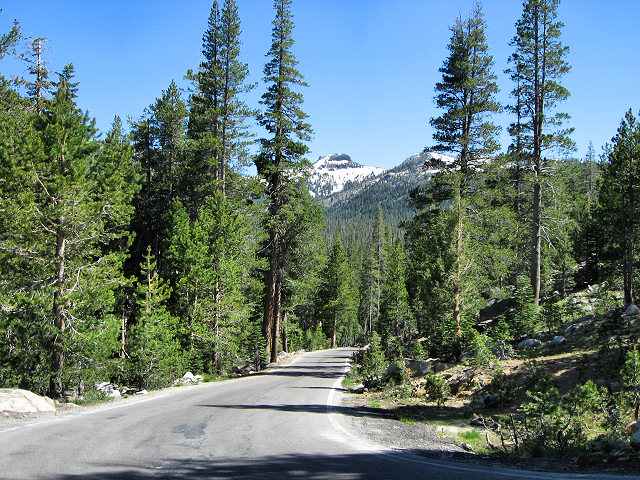 California Hwy. 4 - Ebbetts Pass