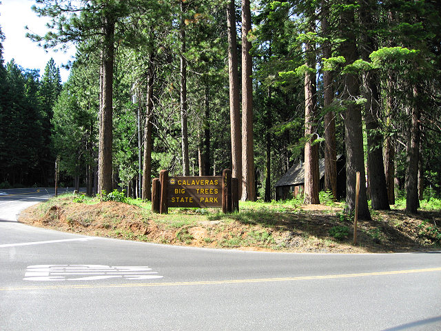 California Hwy. 4 Big Trees State Park