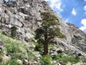 Sonora Pass Hwy. 108