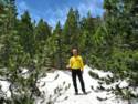 Barry in Snow on Sonora Pass Late June