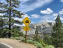 Sonora Pass Hwy. 108