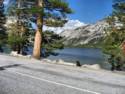 Tioga Pass - Hwy. 120 - Yosemite National Park
