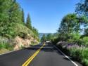 Tioga Pass - Hwy. 120 - Yosemite National Park