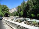 Yosemite National Park