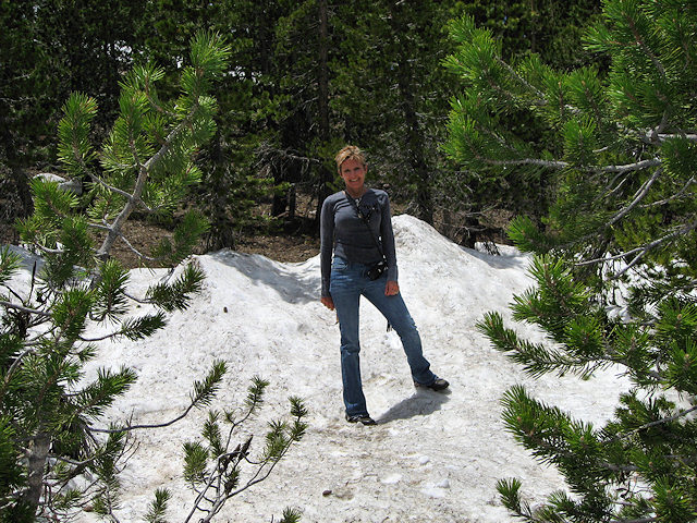 Mrs. C. in Snow on Sonora Pass Late June
