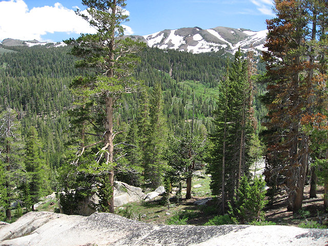 Sonora Pass Hwy. 108