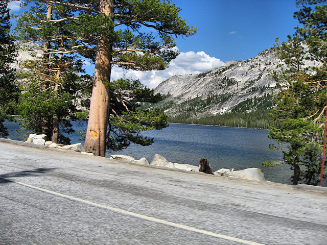 Tioga Pass - Hwy. 120 - Yosemite National Park