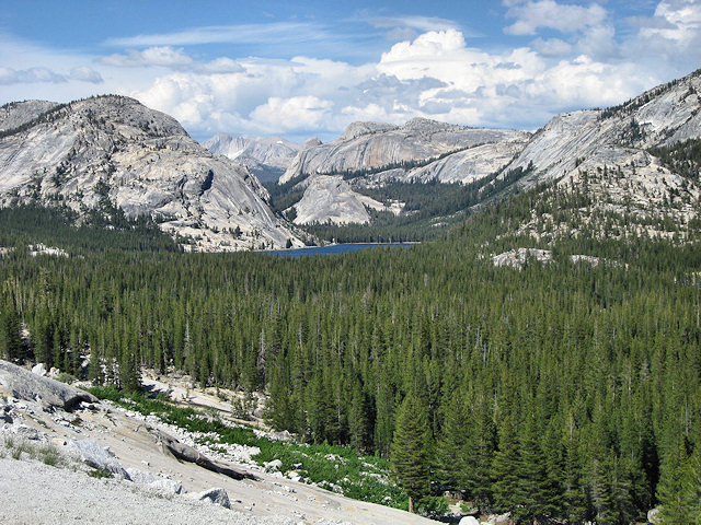 Tioga Pass - Hwy. 120 - Yosemite National Park