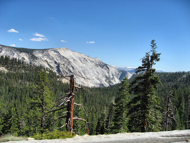 Tioga Pass - Hwy. 120 - Yosemite National Park