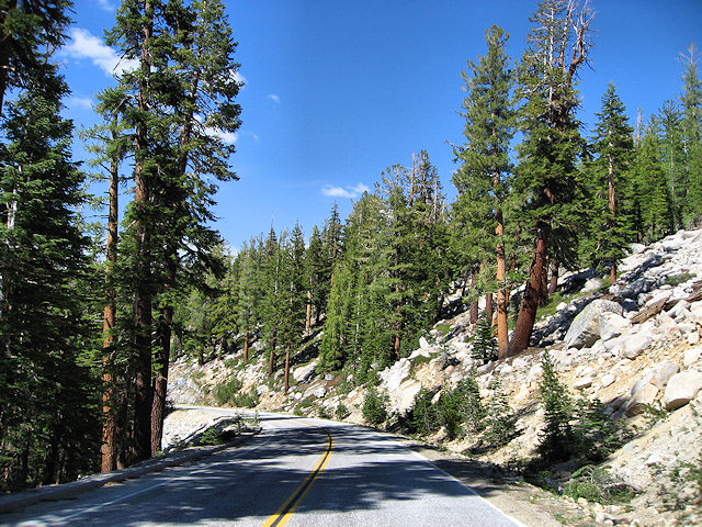 Tioga Pass - Hwy. 120 - Yosemite National Park