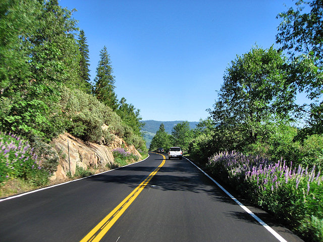 Tioga Pass - Hwy. 120 - Yosemite National Park