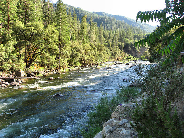 River Behind Yosemite View Lodge