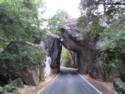 Yosemite National Park