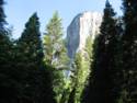 Yosemite National Park