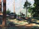 Yosemite National Park