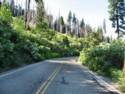 Yosemite National Park