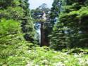 Kings Canyon National Park