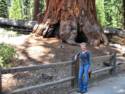 General Grant Sequoia