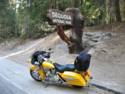 Sequoia National Park