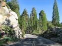 Sequoia National Park