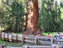 Sequoia National Park