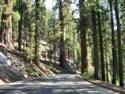 Sequoia National Park