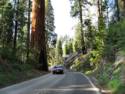 Sequoia National Park