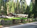 Sequoia National Park