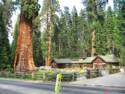 Sequoia National Park