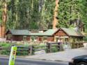 Sequoia National Park