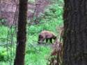 Sequoia National Park
