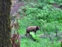 Sequoia National Park