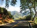 Hwy. 198 out of South Side of Sequoia National Park