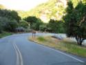 Hwy. 198 out of South Side of Sequoia National Park