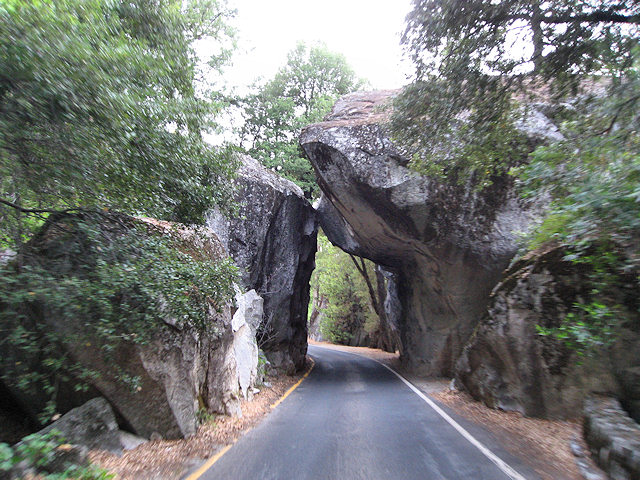 Yosemite National Park